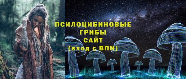 молекула духа Белоозёрский