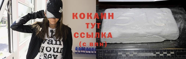 гашик Белокуриха