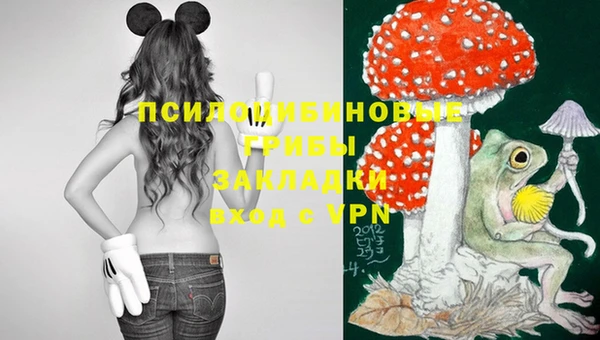 гашиш Осинники