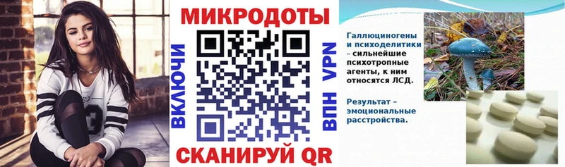 продажа наркотиков  Жуковка  мориарти как зайти  Псилоцибиновые грибы Psilocybe 